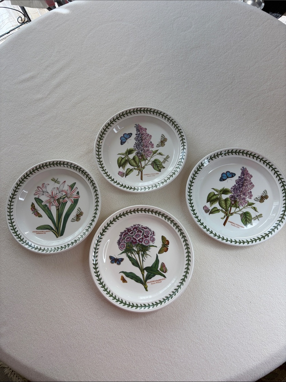 Portmeirion Botanic Garden 4 Salad plates